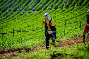 BIB: 
                            <button type="button" onclick="openModal(19162506)" class="btn btn-primary btn-sm float-right btn-popup" data-toggle="modal" data-target=".modal-high-quality">
                        <i class="fas fa-shopping-cart"></i> Add to Cart
                    </button>
                                            <button type="button" onclick="isThisMe(19162506, true)" class="btn btn-success btn-sm float-right btn-popup btn-isme hidden" data-toggle="tooltip" data-placement="bottom" title="นี่คือรูปของคุณใช่ไหม คลิกที่นี่เพื่อเอาเข้าอัลบั้ม">
                        <i class="fas fa-plus"></i> Add to album
                    </button>
                    <button type="button" onclick="isThisMe(19162506, false)" class="btn btn-warning btn-sm float-right btn-popup btn-isnotme hidden">
                        <i class="fas fa-ban"></i> Remove from album
                    </button>